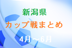 新潟県のカップ戦・小さな大会情報まとめ4月～6月開催【随時更新】カナール杯優勝はkF.THREE！U-12青山サッカーフェス5/3.4