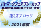 2021年度 4種リーグU-10 南河内地区 大阪 代表2チーム決定！残り1枠決定！