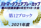 【2021年度第30回高校女子サッカー選手権】全エリア代表決定！各都県代表チームも掲載【47都道府県まとめ】