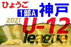 兵庫 ジュニアサッカーnews