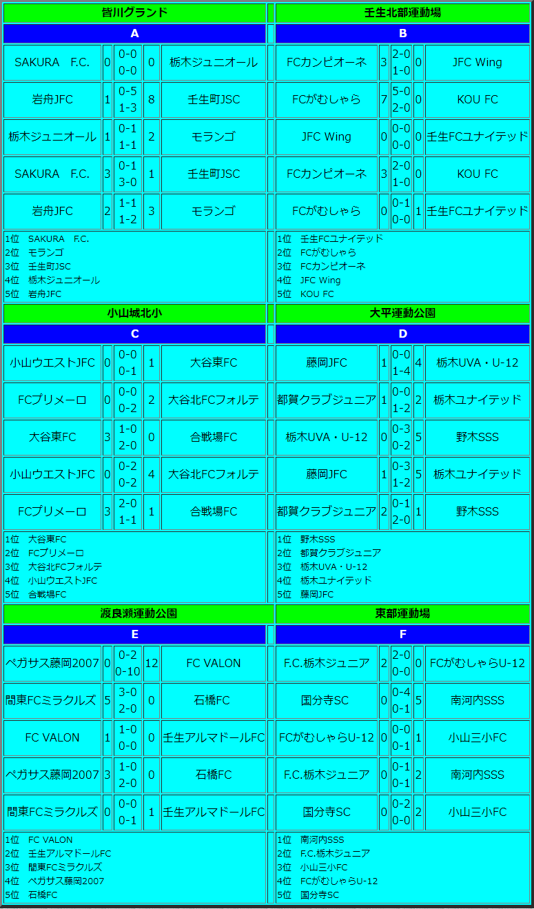 21年度 Qualier Cup栃木県u 12サッカー大会 下都賀地区予選 優勝は大谷東fc 県大会出場10チーム決定 ジュニアサッカーnews