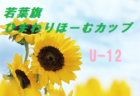サガン鳥栖 U 18メンバー紹介 高円宮杯 U 18 サッカープレミアリーグ 21 West 佐賀県 ジュニアサッカーnews