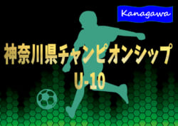 21年度 神奈川県チャンピオンシップu 10 優勝はバディーsc ジュニアサッカーnews