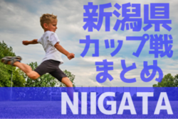 新潟県のカップ戦・小さな大会情報まとめ 2022年1月～3月【随時更新】