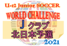 2021年度第41回 新潟県スポーツ少年団競技別交流大会地区予選会（下越地区スポーツ少年団サッカー大会） 新潟　7/10.11結果募集