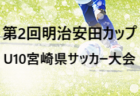 FC desafiante（エフシーデサフィアンテ） ジュニア（U-11カテゴリー）選手募集 2022年度 新潟