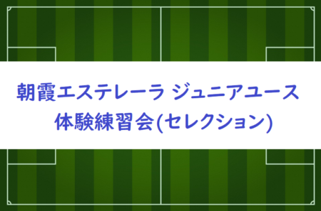 埼玉小学生 ジュニアサッカーnews