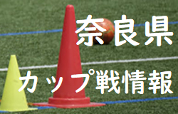 2022年度【10月・11月 奈良県開催のカップ戦・小さな大会情報まとめ】大会の結果を更新しました！