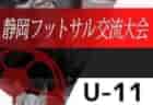 JFA U-13サッカーリーグ2021 東京都 (U-13 Tリーグ) 優勝はS.T.FC！来季関東リーグに昇格決定！