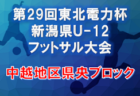 JFA U-13サッカーリーグ2021 東京都 (U-13 Tリーグ) 優勝はS.T.FC！来季関東リーグに昇格決定！