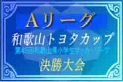 21年度 和歌山トヨタカップ 第45回和歌山県小学生サッカー Aリーグ決勝大会 2 19 開催 地区予選情報募集中 ジュニアサッカーnews 21年度 和歌山トヨタカップ 第45回和歌山県小学生サッカー Aリーグ決勝大会 2 19 開催 地区予選情報募集中 ジュニアサッカーnews