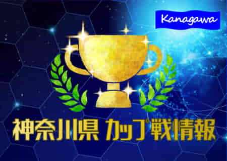 2022年11月～2023年1月神奈川県のカップ戦・小さな大会の優勝・上位チーム紹介（随時更新）