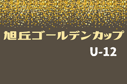 2021年度 第7回旭丘ゴールデンカップ (U-12)石川　優勝は大虫FC！