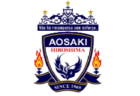 21佐賀牛杯サッカーフェスティバル 優勝は大坪少年sc 10 31結果情報おまちしています ジュニアサッカーnews