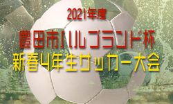 【延期】2021年度 第9回 豊田市ハルブランド杯 新春4年生サッカー大会（愛知）次回日程情報募集