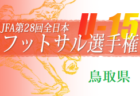 2021-2022 アイリスオーヤマ プレミアリーグU-11 大阪 優勝はセレッソ大阪！