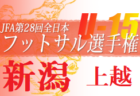 2022年度 スポーツ少年団サッカー大会4年生大会 三島地区予選（大阪） 優勝は山田クラブ！