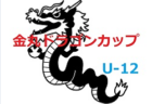2021年度 第13回金丸ドラゴンカップ（創部35年）記念サッカー大会（U-12）福岡県　組合せ掲載！1/29.30 開催