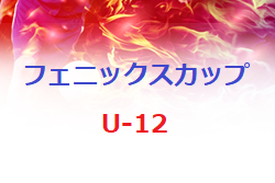 2021年度 第17回 フェニックスカップジュニアサッカー大会（U-12）福岡県 1/29.30→フェスティバルに変更