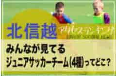 独自調査【北信越】県別ランキング　みんなが見てるジュニアチーム（4種）ってどこ？アクセスランキング【2023年1月～6月】