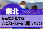 独自調査【東北】県別ランキング みんなが見てる高校サッカー部ってどこ？アクセスランキング【2023年1月～6月】