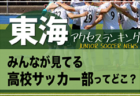 独自調査【東海】みんなが見てるジュニアチーム（4種）ってどこ？県別チームアクセスランキング【2023年1月～6月】