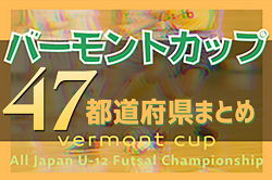 【2022年度バーモントカップ】全代表チーム決定！全国大会は聖地・駒沢で8/5～8/7開催！【47都道府県まとめ】