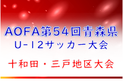 2022年度 AOFA第54回青森県U-12サッカー大会 十和田・三戸地区予選 優勝は十和田蹴球団！