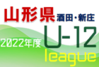 高校サッカー選手権歴代応援マネージャーをプレイバック！