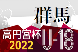 高円宮杯 JFA U-18リーグ2022群馬　1部優勝は前橋育英高校B！関東プリンス2部POに参戦！