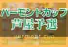 2022年度 全国リーグ一覧【47都道府県まとめ】