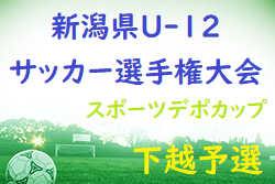 2022年度 新潟県U-12サッカー選手権大会 下越予選　水原SSが連覇！ベスト4がデポ杯に参戦
