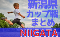 2023年度 新潟県のカップ戦・小さな大会情報まとめ【随時更新】12/2 朝日フットサルU-11 優勝は荒川SS！