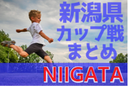 新潟県のカップ戦・小さな大会情報まとめ　2022年4月～【随時更新】庭野スポーツ杯U-12、第3位はグランヴォーチェ柏崎！その他結果募集