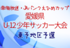 2022年度 第46回 南海放送・JAバンクえひめカップ 愛媛県U-12少年サッカー大会 中予地区予選 優勝はFC Livent・Ａ！県大会出場代表6チーム決定！