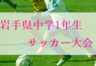 2022年度 第66回兵庫県中学校総合体育大会(中総体) サッカー競技 優勝は上甲子園中学校！三田学園中学校も近畿大会へ