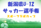 【優勝写真掲載】2022年度 第21回 JA全農杯 全国小学生選抜サッカー大会 愛知県大会  優勝は東海スポーツA！準優勝 VOICE！東海大会出場2チーム決定！