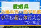 【優勝写真掲載】2022年度 静岡県高校総体 インターハイ 静岡県大会  優勝は磐田東高校！17年ぶりの全国大会出場決定！