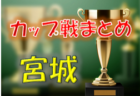 2023年度 U-12ジュニアサッカーワールドチャレンジ ワーチャレ予選2023 広島会場 優勝はサンフレッチェ広島F.Cジュニア！