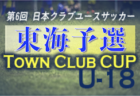 2022年度 第49回全国選抜少年サッカー刈谷大会（愛知）優勝は西尾SS、準優勝に豊田市トレセン！