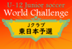 U-12ジュニアサッカーワールドチャレンジ2022 Jクラブ東日本予選（栃木県開催）栃木SＣ、鹿島アントラーズノルテ、ザスパクサツが本戦出場！結果掲載