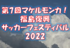 【ブロック優勝校写真追加】2022年度 全国高校サッカー選手権 神奈川県1次予選 ブロック優勝12校決定！2次予選出場へ！情報ありがとうございます！