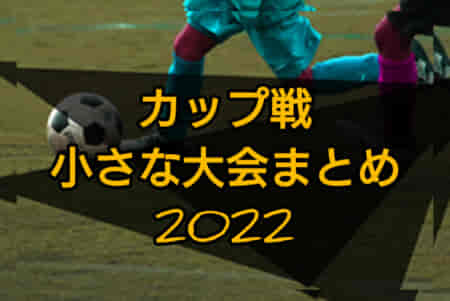 2022年度 宮崎県のカップ戦・小さな大会情報まとめ【7月～2023.3月】