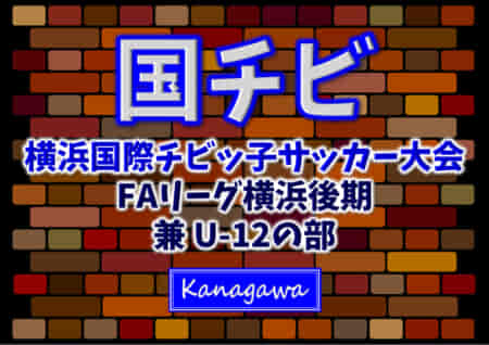 JFA U-12リーグ 2022 神奈川《FAリーグ》横浜後期 兼 横浜国際チビッ子サッカー大会 優勝はバディーSC！春季大会と2冠達成、横浜市162チームの頂点に！ U12-2は品濃Wが優勝！