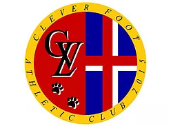 CLEVER FOOT（クレバーフット） ジュニアユース 練習体験会 9/25,10/30開催 2023年度 愛知県