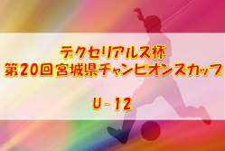 2022年度 デクセリアルズ杯 第20回宮城県チャンピオンズカップU-12 11/18,19開催！