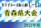 RCDエスパニョールジャパンアカデミー埼玉 ジュニアユース（2023年度新規設立） 体験会11/19.23他開催！2023年度 埼玉県