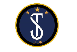 ST d’or FC ジュニアユース セレクション 10/9.15開催・練習体験会 毎週水曜 2023年度 愛知県