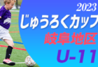 2022年度 JOYカップ サッカーフェスティバル (栃木県) 優勝はAzuLente KAZO！情報ありがとうございます！2位〜6位リーグの情報をお待ちしています！
