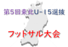 高円宮杯JFA U-18サッカーリーグ 2022 OSAKA 1部・2部（大阪）桃山学院・興國がプリンスリーグ関西プレーオフ進出！